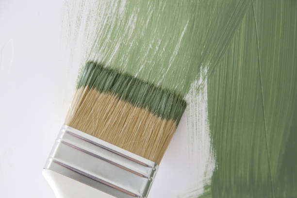 Gonzales, TX Mold Removal Company