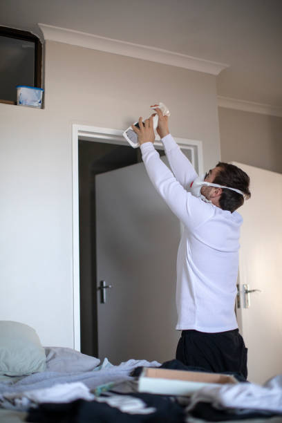 Best Mold Odor Removal Services  in Gonzales, TX