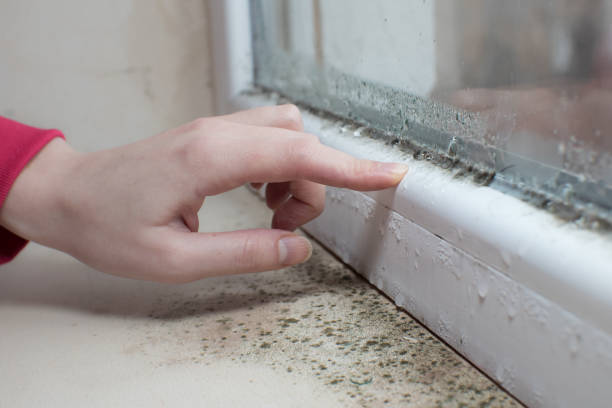 Best Post-Remediation Verification Testing  in Gonzales, TX