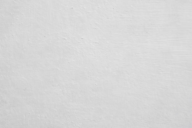 Best Black Mold Removal  in Gonzales, TX